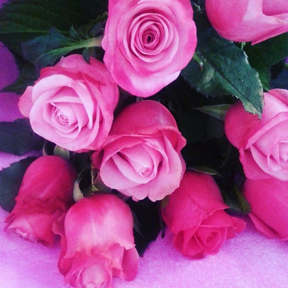 Pink Roses – BizziBlooms
